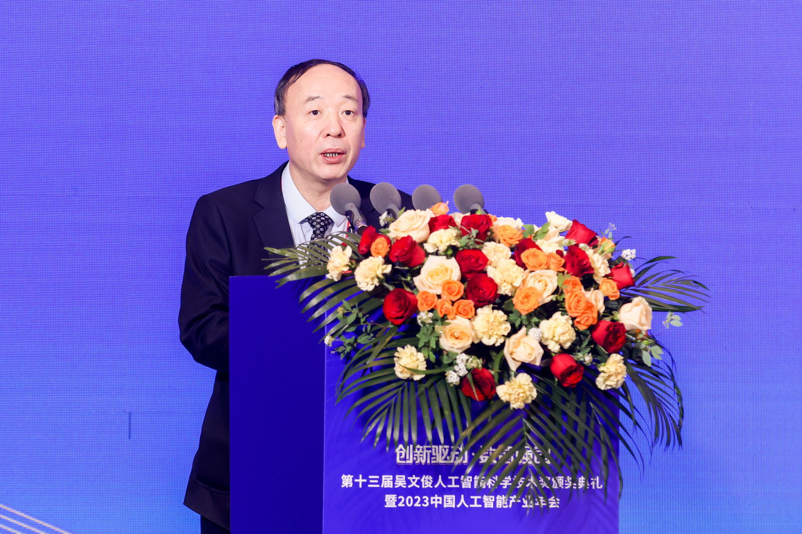 中国人工智能学会党委书记、副理事长，中国工程院院士赵春江致辞